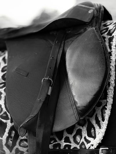 Outils de pronostics hippiques